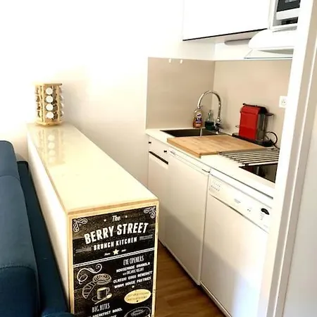 Au Pied Des Pistes Et Du Telemix Appartement Les Deux Alpes