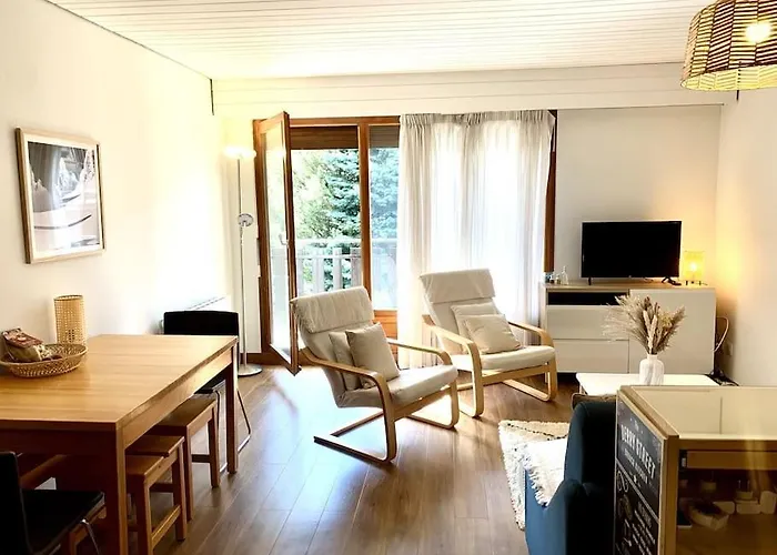 Au Pied Des Pistes Et Du Telemix Apartment Les Deux Alpes